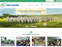 Tablet Screenshot of agroamazonia.com.br